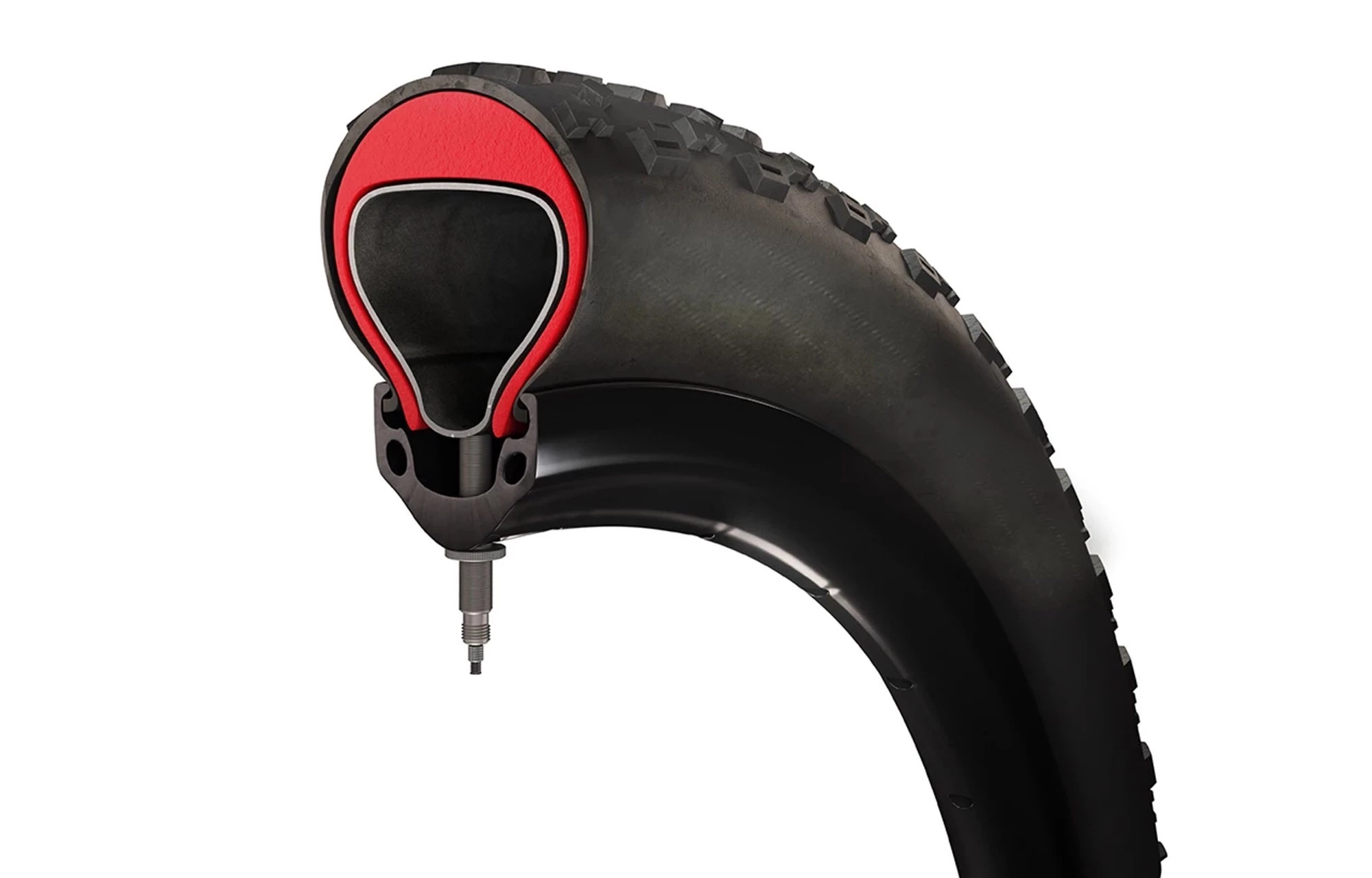 INSERT TANNUS ARMOUR 29 4 INSERT TANNUS ARMOUR 29 – Image 2