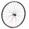 ROUE AVANT DT SWISS EX 511-350 15 X 110 29"
